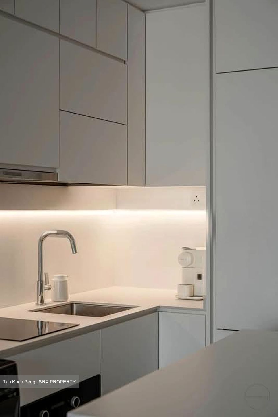 Irwell Hill Residences (D9), Apartment #576778151